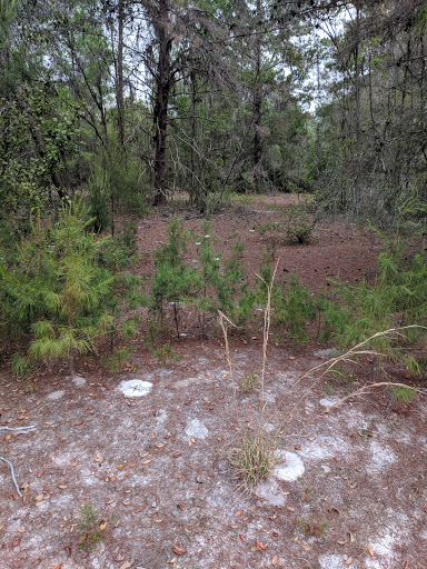 Recreation Center «Balm Park Recreation Center», reviews and photos, 14747 Balm Wimauma Rd, Wimauma, FL 33598, USA