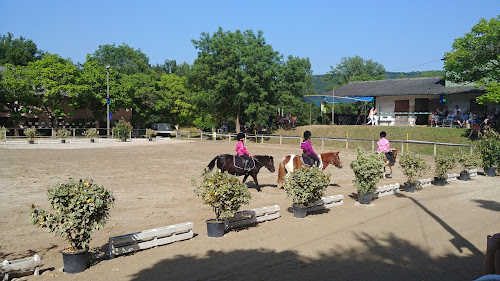 Centre équestre Centre Equestre poney club de Monteils villefranche Monteils