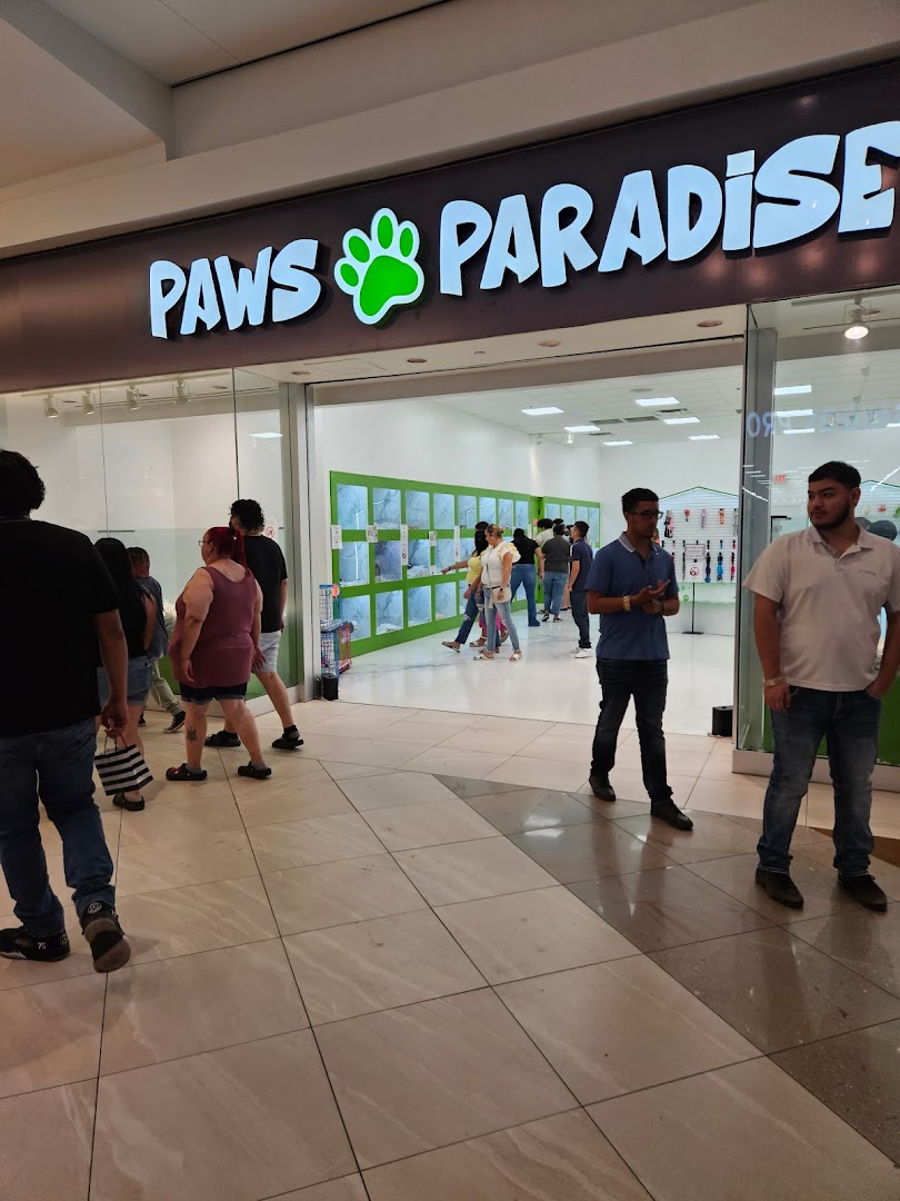 Paws Paradise