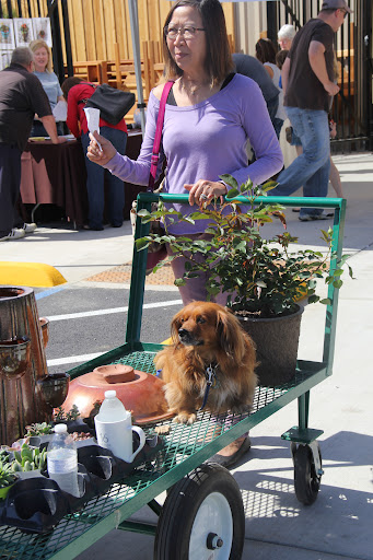 Green Acres Nursery & Supply image