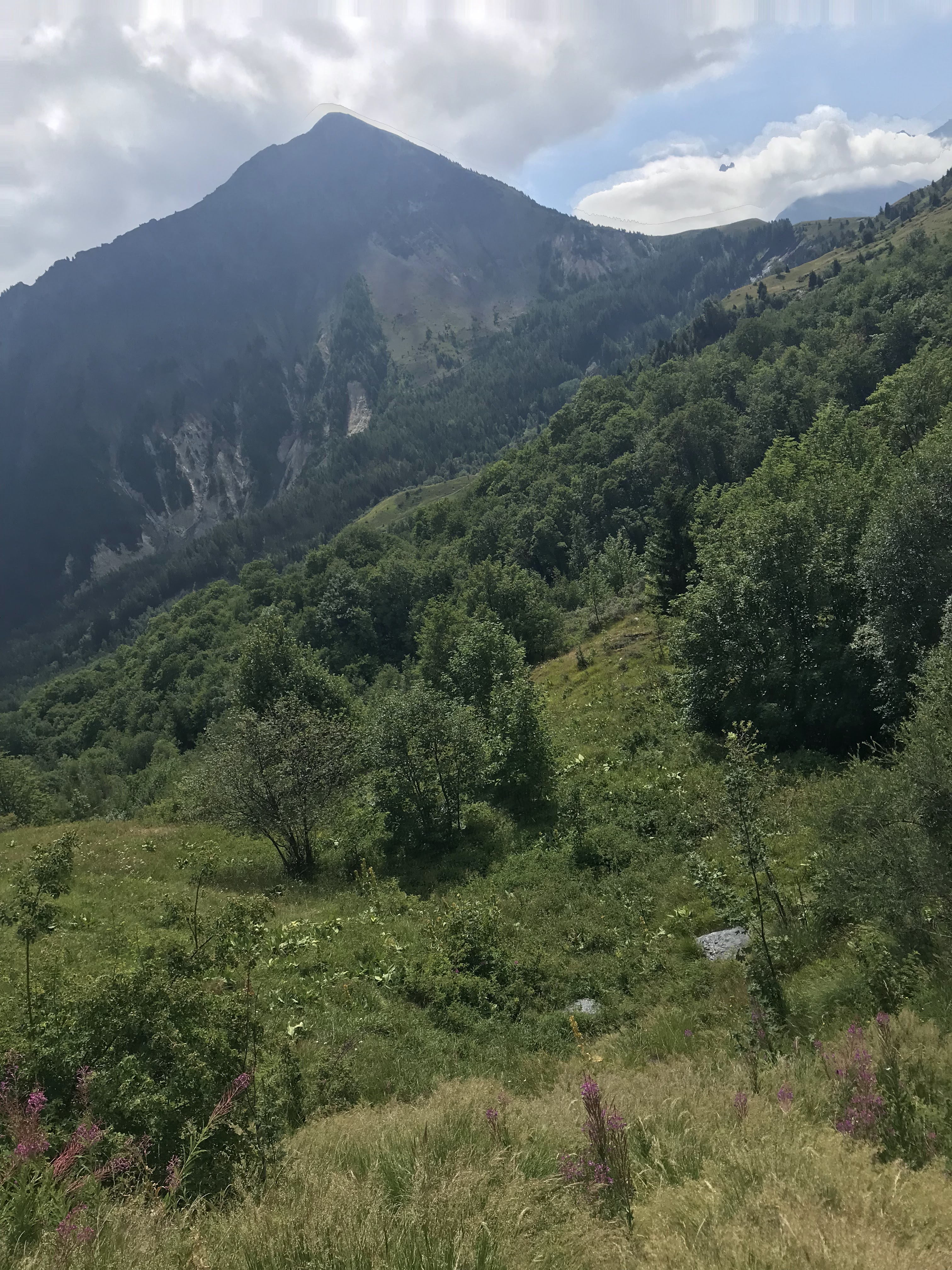 Photo n° 16 de l'avis de Vanessa.. fait le 02/08/2019 à 14:07
