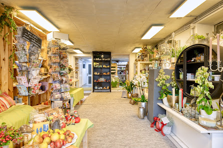 Ulrike Minichshofer Gartensiedlung 13/2, 3125 Rottersdorf, Österreich
