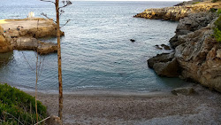 Cala Auberdans'in fotoğrafı çok temiz temizlik seviyesi ile