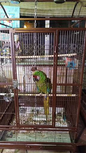 Pet Supply Store «Petco Animal Supplies», reviews and photos, 2842 NW 63rd St, Oklahoma City, OK 73116, USA