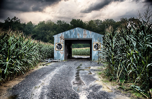 Haunted House «Legends of the Fog», reviews and photos, 500 Carsins Run Rd, Aberdeen, MD 21001, USA