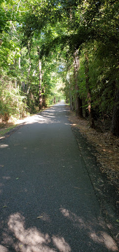 Bicycle Repair Shop «The Bike Path», reviews and photos, 2641 Florida St, Mandeville, LA 70448, USA