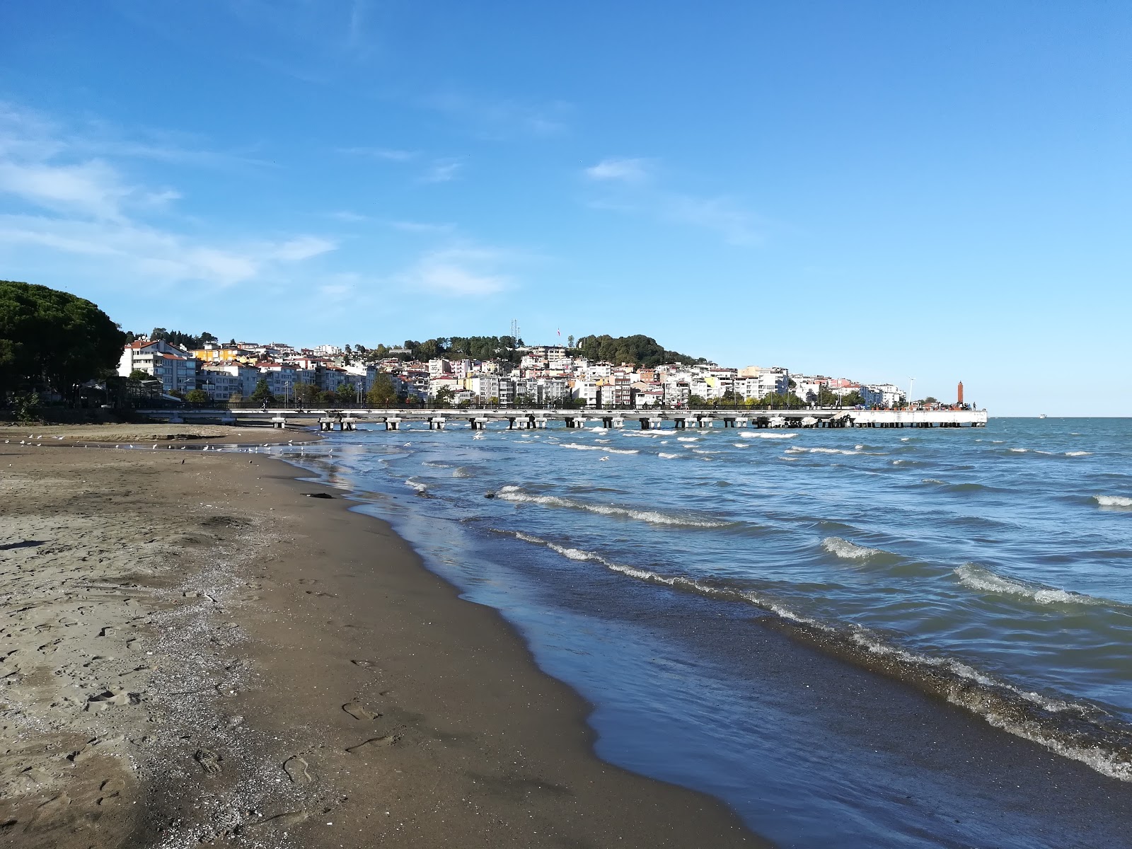 Fotografija Unye Beach z siv pesek površino