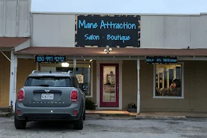 Mane Attraction image