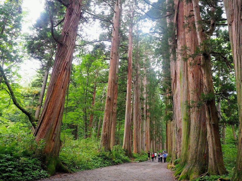 戸隠神社 中社