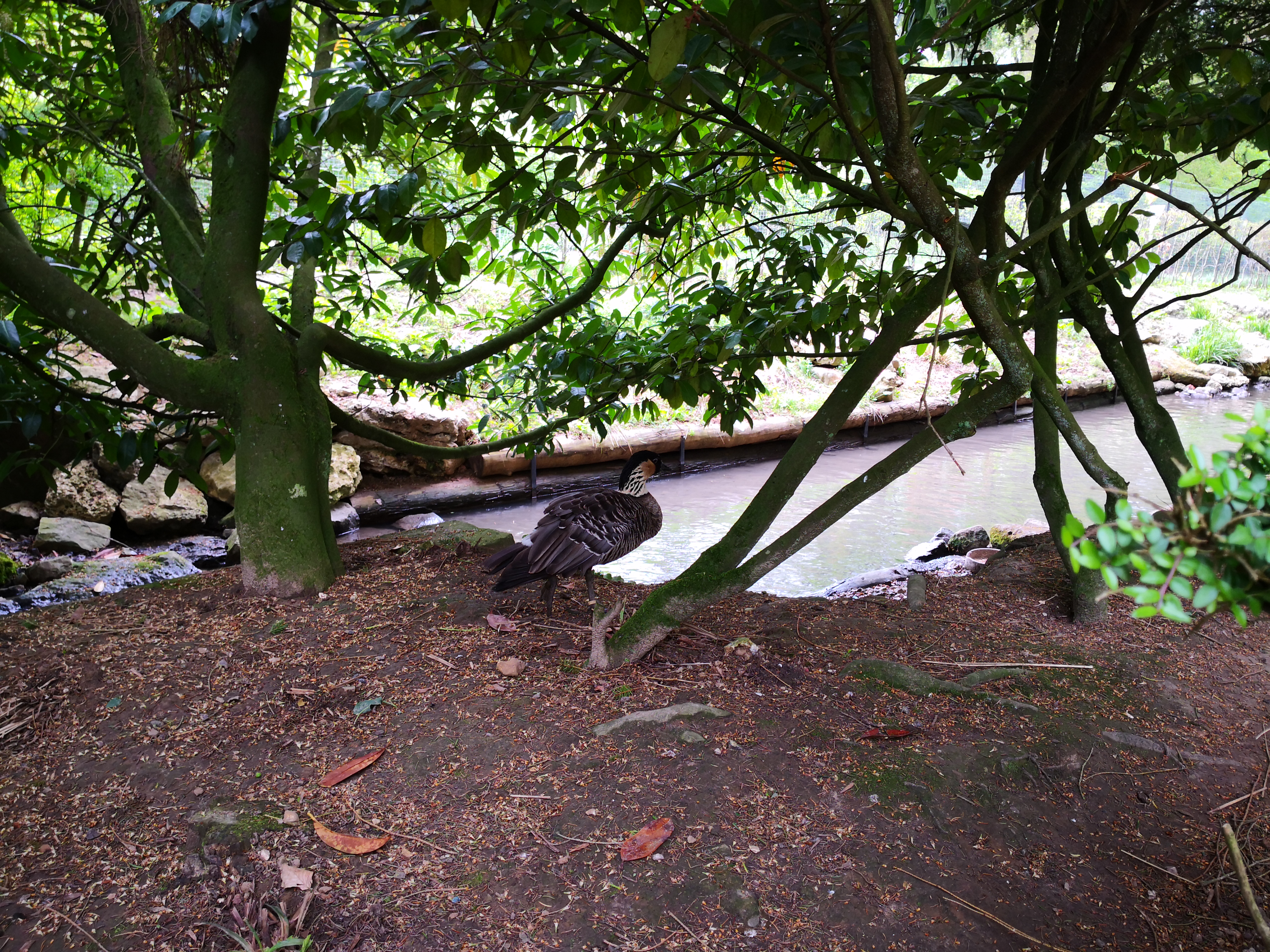 Photo n° 3 de l'avis de Mélanie. fait le 02/05/2019 à 08:22