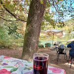 Photo n°2 de l'avis de Irene. fait le 15/10/2023 à 14:28 sur le  Lago di Monticolo à Eppan an der Weinstraße