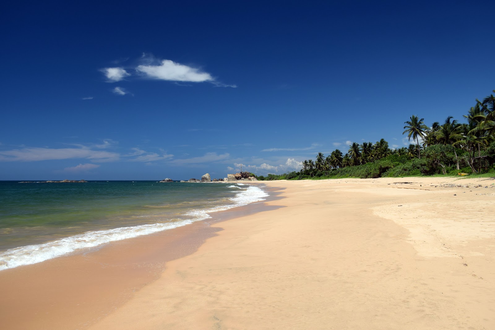 Foto di Balapitiya Beach con una superficie del sabbia luminosa