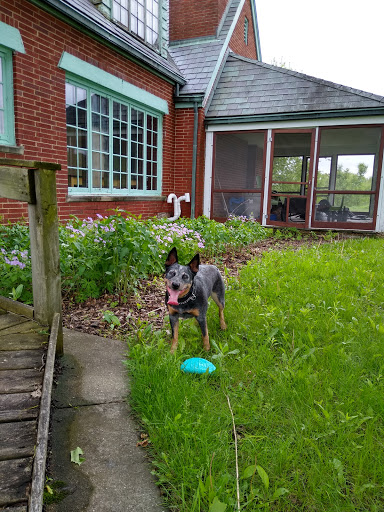 Nature Preserve «Schweitzer Woods Forest Preserve», reviews and photos, 16N690 Sleepy Hollow Rd, West Dundee, IL 60118, USA