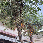 Photo n°3 de l'avis de Jana.r fait le 28/05/2023 à 17:38 sur le  Liviana Ristorante Pizzeria Discobar à Sirmione