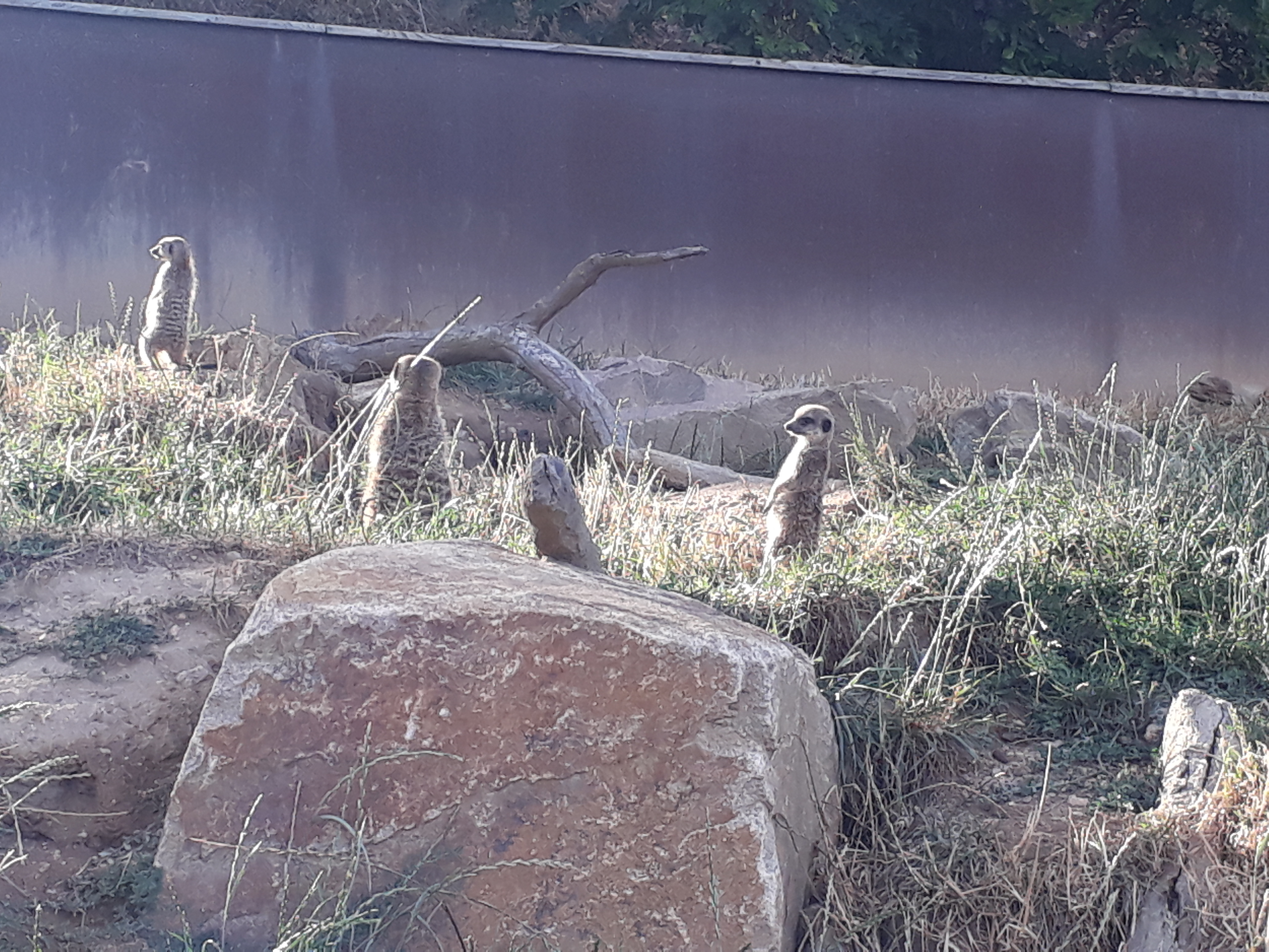 Photo n° 4 de l'avis de Stef.e fait le 15/08/2018 à 14:06