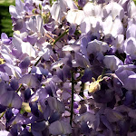 Photo n°5 de l'avis de Pasquale.e fait le 24/04/2018 à 14:43 sur le  Le Querce di Mamre à Foggia