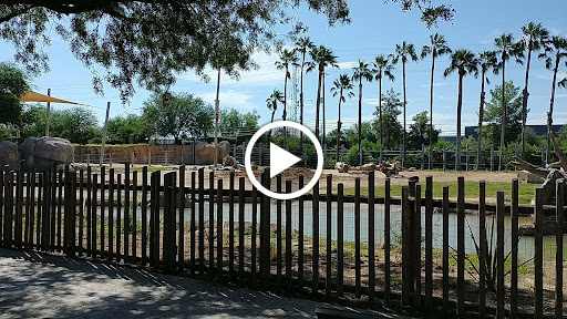 Zoo «Reid Park Zoo», reviews and photos, 3400 Zoo Court, Tucson, AZ 85716, USA