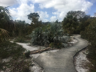 Lakeside Sand Pine preserve- scrub habitat