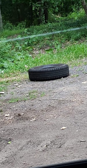 Beachgrounds Park - photo 81