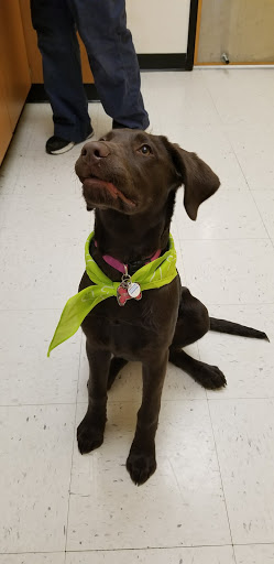 Pet Supply Store «PetSmart», reviews and photos, 27161 Crossroads Pkwy, Rossford, OH 43460, USA