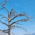 Photo n°15 de l'avis de Gastone.i fait le 04/09/2021 à 16:21 sur le  Eremo Monte Barro à Galbiate