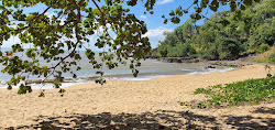 Photo de Trinity Beach avec rivage droit, long