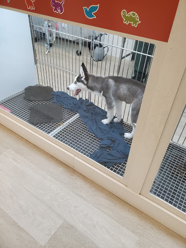 Pet Store «Petland Topeka», reviews and photos, 1801 SW Wanamaker Rd, Topeka, KS 66614, USA