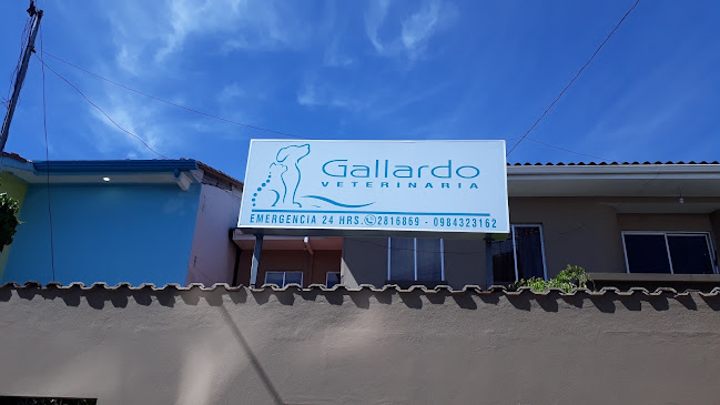Clínica Veterinaria Gallardo - Cuenca