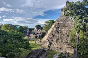 Tikal Go Tours image