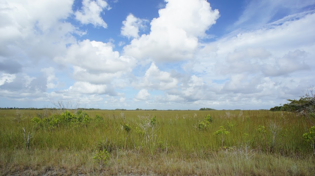 Southern Glades