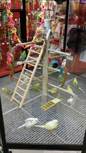 Pet Supply Store «Petco Animal Supplies», reviews and photos, 18200 NW Evergreen Pkwy, Beaverton, OR 97006, USA