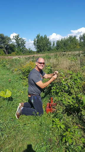 Produce Market «Brookwood Fruit Farm», reviews and photos, 7845 Bordman Rd, Almont, MI 48003, USA