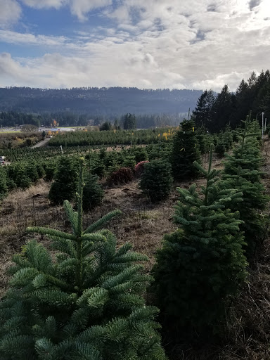 Gift Shop «Sleighbells Of Sherwood (Seasonal Business Open July1-December 23)», reviews and photos, 23855 SW 195th Pl, Sherwood, OR 97140, USA