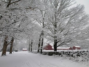 Nathan Hale Homestead Museum - photo 58