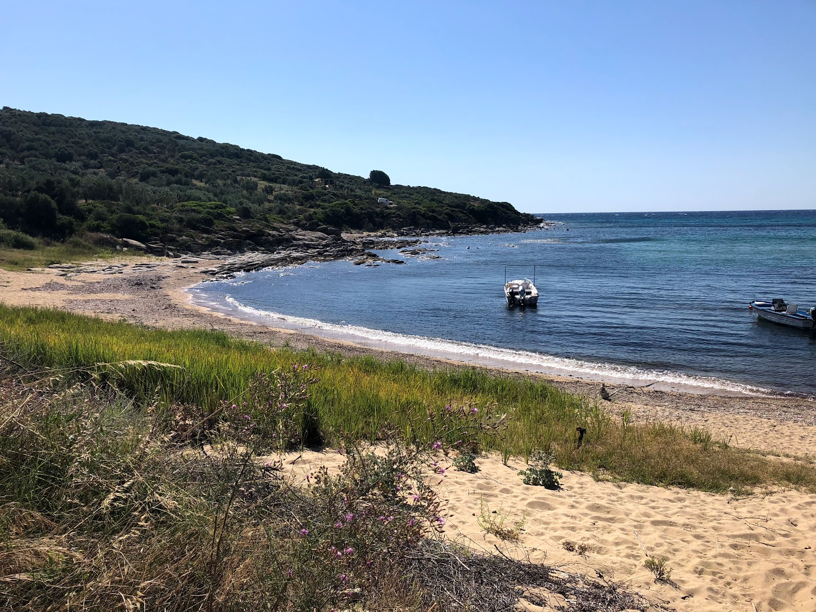Foto van Elies beach met hoog niveau van netheid