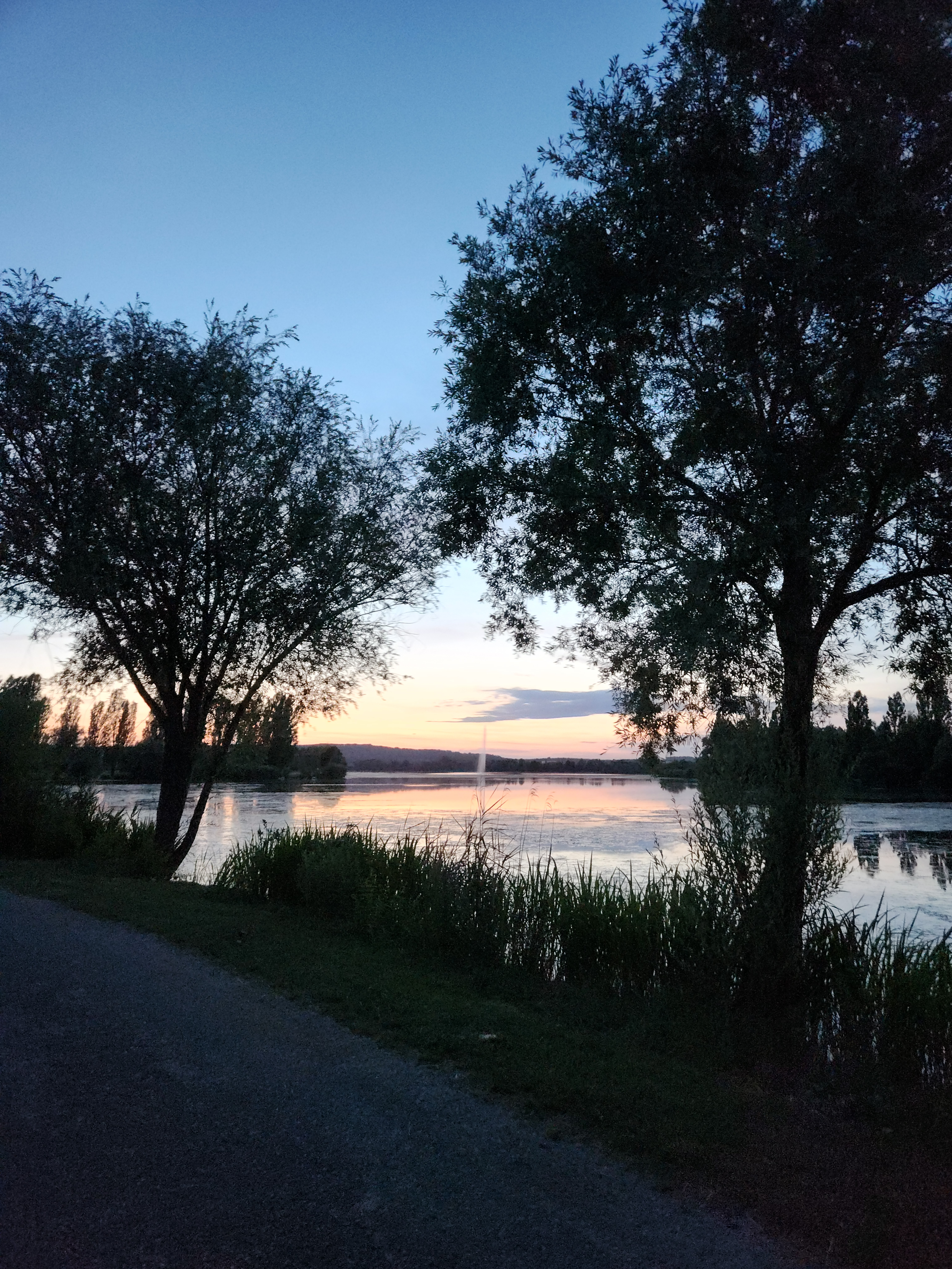 Photo n° 2 de l'avis de Mireillelamy004598@gmail.com.i fait le 03/09/2023 à 20:12