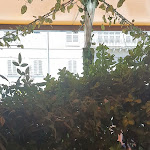 Photo n°8 de l'avis de Eduardo.e fait le 15/08/2023 à 17:39 sur le  Ristorante La Torre Braceria à Perugia