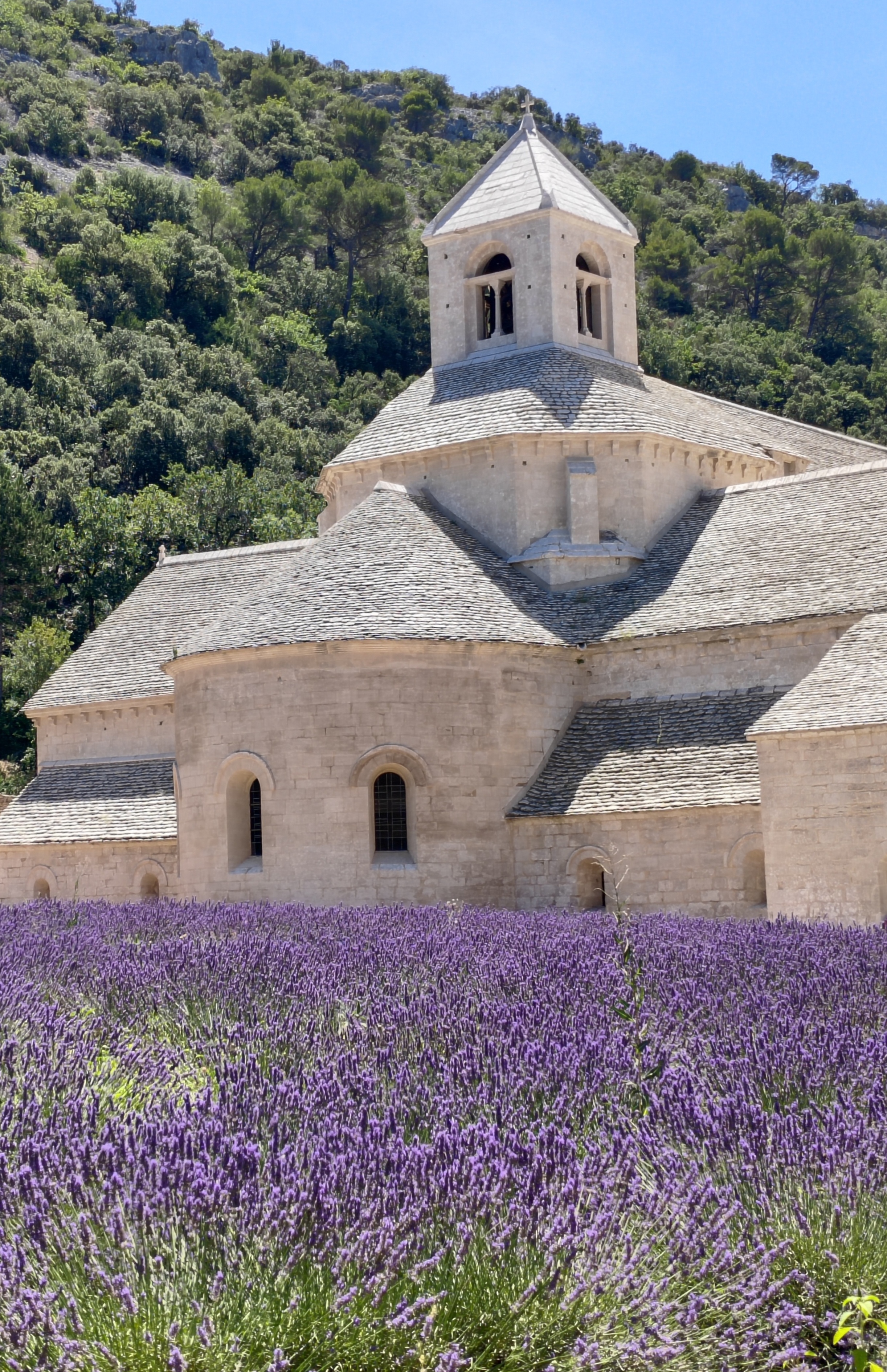 Photo n° 2 de l'avis de Stéphane.y fait le 24/07/2023 à 19:29