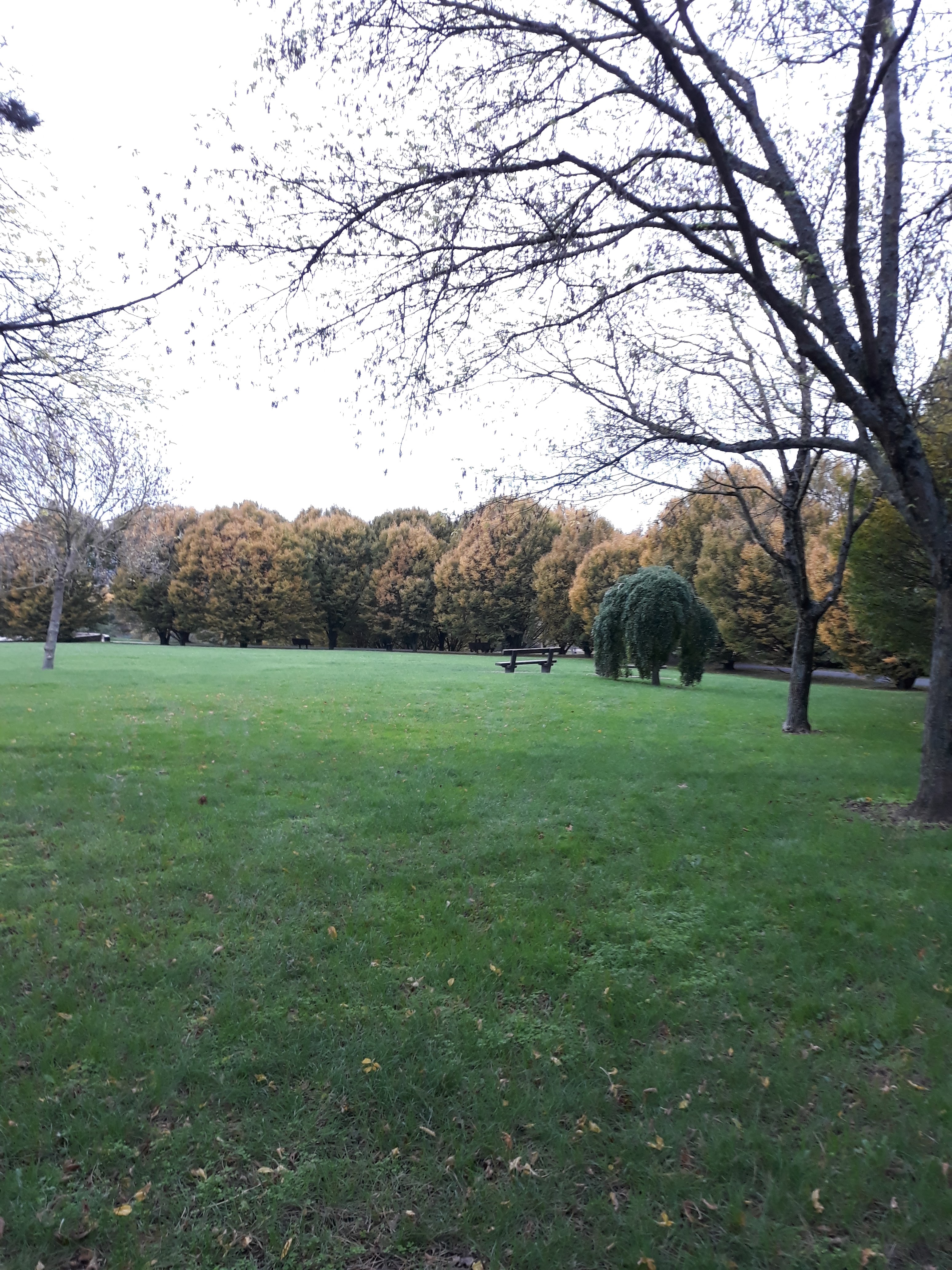 Photo n° 2 de l'avis de Ninfa. fait le 18/11/2019 à 18:40