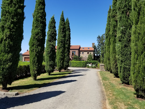 Winery «Alloro Vineyard», reviews and photos, 22075 SW Lebeau Rd, Sherwood, OR 97140, USA