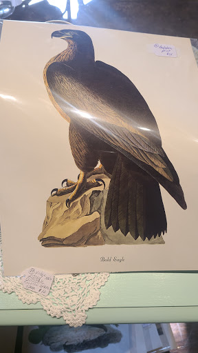 Shopping Mall «West End Garage, Cape May», reviews and photos, 484 W Perry St, Cape May, NJ 08204, USA