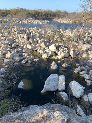 El Lago de los árboles muertos