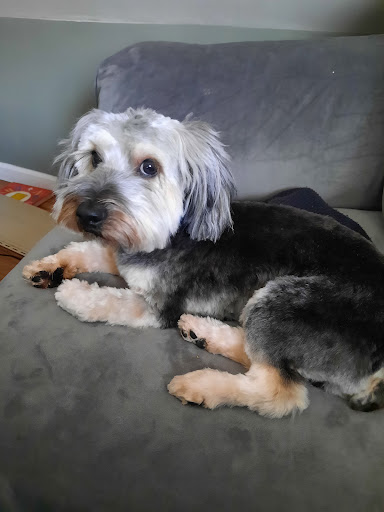 Pet Supply Store «PetSmart», reviews and photos, 67 Consumer Square, Plattsburgh, NY 12901, USA