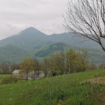 Photo n° 2 de l'avis de Yabon. fait le 02/05/2019 à 15:56 pour Parc naturel régional des Pyrénées Ariégeoises à Montels