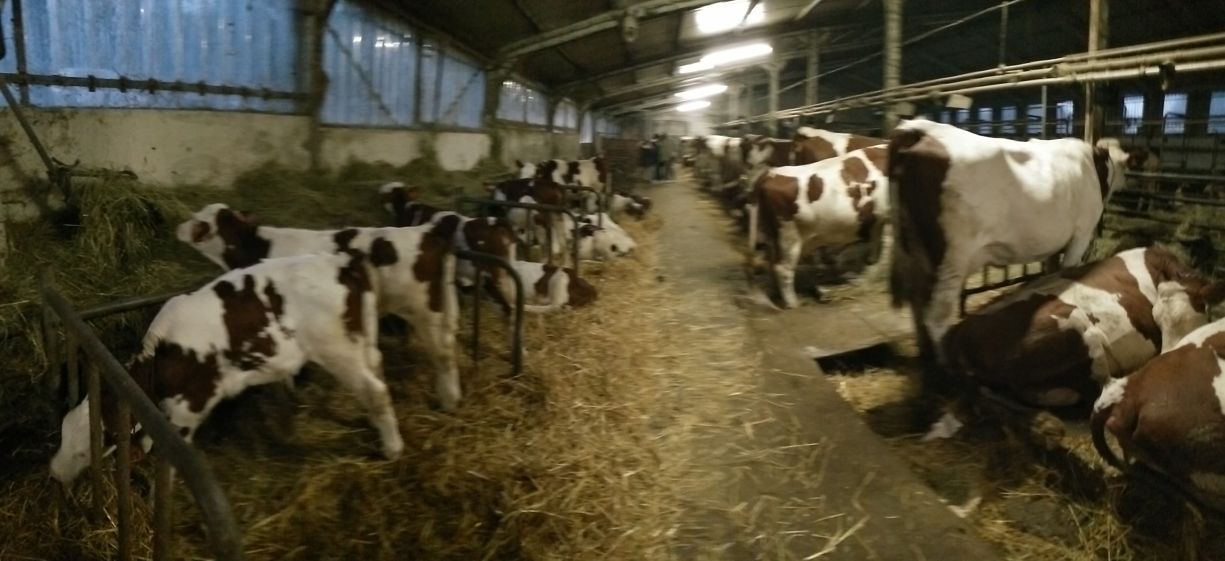 Photo n° 1 de l'avis de eric.u fait le 05/11/2018 à 09:15