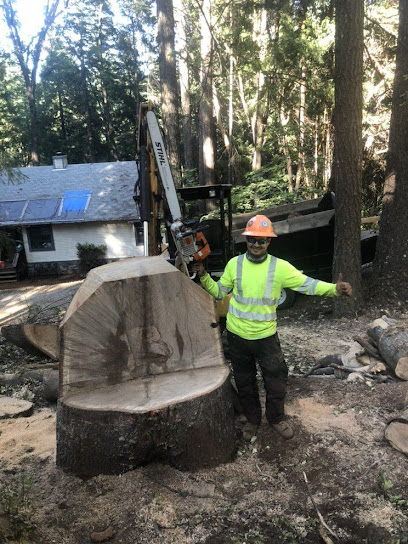 Western Sierra Tree Service