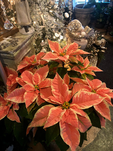 Florist «Post Road English Garden», reviews and photos, 1105 N Post Rd, Indianapolis, IN 46219, USA