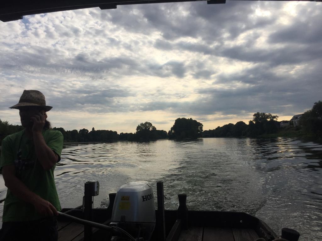 Photo n° 12 de l'avis de Louis.i fait le 15/08/2020 à 21:33