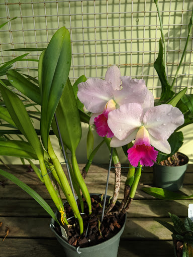 Stadium «Barton Hall», reviews and photos, 117 Statler Dr, Ithaca, NY 14853, USA