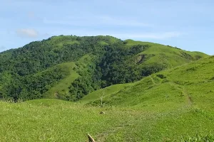 Marinduque Wildlife Sanctuary image